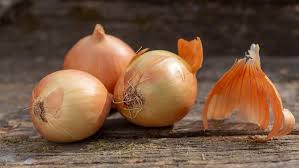 Cebolla de guarda